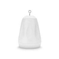 P6, White