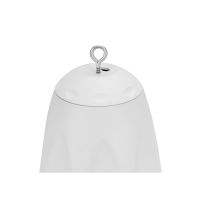 P6, White