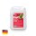 Cameo FAST FLUID 5 L - Nebelfluid mit sehr hoher Dichte und sehr kurzer Standzeit 5 L