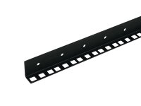 Rackschiene gestanzt AM-6 2 Meter