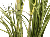 EUROPALMS Dracena bush, artificial, 215cm