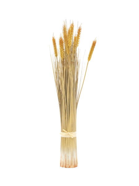 EUROPALMS Weizenbündel, künstlich, 60cm