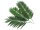 EUROPALMS Coconut palm branch, artificial, 80cm 12x