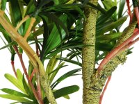 EUROPALMS Podocarpus tree, artificial plant, 90cm