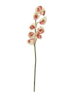 EUROPALMS Cymbidiumzweig, künstlich, creme-pink, 90cm