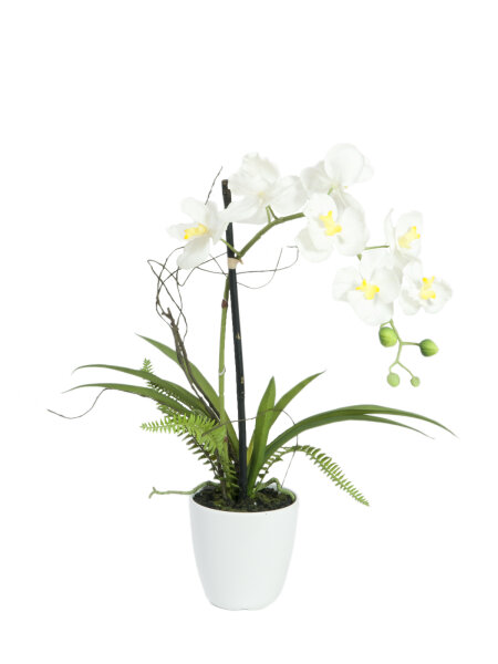EUROPALMS Orchideen-Arrangement 1, künstlich