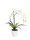 EUROPALMS Orchideen-Arrangement 1, künstlich