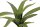 EUROPALMS Aloe (EVA), künstlich, grün, 66cm