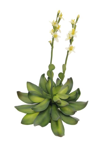 EUROPALMS Steinrose (EVA), Kunstpflanze, gelb, 32cm