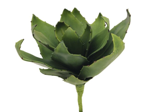 EUROPALMS Agave (EVA), künstlich, grün, 35cm