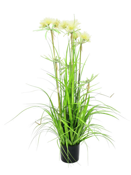 EUROPALMS Star Gras, artificial, 120cm
