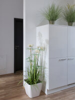 EUROPALMS Star Gras, artificial, 120cm