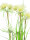 EUROPALMS Star Gras, artificial, 120cm