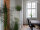 EUROPALMS Star Gras, artificial, 120cm