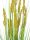 EUROPALMS Parrot grass, artificial, 120cm