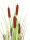 EUROPALMS Rohrkolben, Kunstpflanze, 120cm