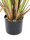EUROPALMS Rohrkolben, Kunstpflanze, 120cm