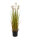 EUROPALMS Dandelion, artificial flower, 107cm