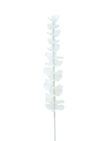 EUROPALMS Crystal eucalyptus, artificial plant, white 81cm 12x