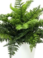 EUROPALMS Farnbusch im Dekotopf, Kunstpflanze, 51...