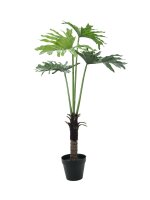 EUROPALMS Split Philo Plant, artificial, 120cm