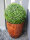EUROPALMS Boxwood ball, artificial,   ~25cm