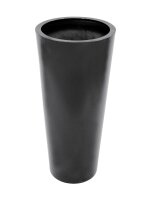 EUROPALMS LEICHTSIN ELEGANCE-110, schwarz, glänzend
