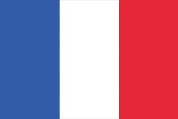 EUROPALMS Flagge, Frankreich, 600x360cm