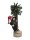 EUROPALMS Christmas bear, with fir, 105cm