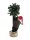 EUROPALMS Christmas bear, with fir, 105cm