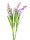 EUROPALMS Aronstab 3er Set mit LEDs, pink, 85cm
