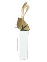 EUROPALMS Galarablatt, getrocknet, gold