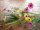 EUROPALMS Wildblumenzweig, künstlich,  pink