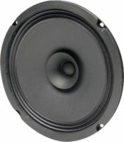 BG 20 - 8 Ohm 20 cm (8") Breitbandlautsprecher