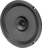 BG 20 - 8 Ohm 20 cm (8") Breitbandlautsprecher