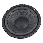 W200 - 4 Ohm Tieftöner 20 cm (8")
