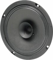 BG 17 - 8 Ohm -16 cm (6,5") Breitbandlautsprecher