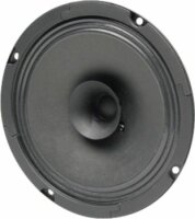 BG 17 - 8 Ohm -16 cm (6,5") Breitbandlautsprecher