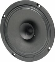 BG 17 - 8 Ohm -16 cm (6,5") Breitbandlautsprecher