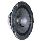 BG 13 P - 8 Ohm -13 cm (5") Breitbandlautsprecher