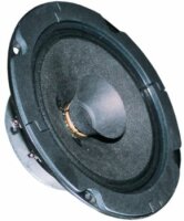 BG 13 P - 8 Ohm -13 cm (5") Breitbandlautsprecher
