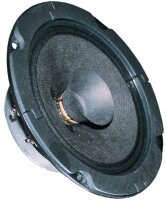 BG 13 P - 8 Ohm -13 cm (5") Breitbandlautsprecher